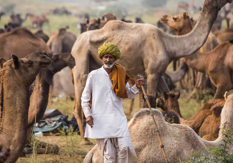 Golden Triangle Tour with Pushkar