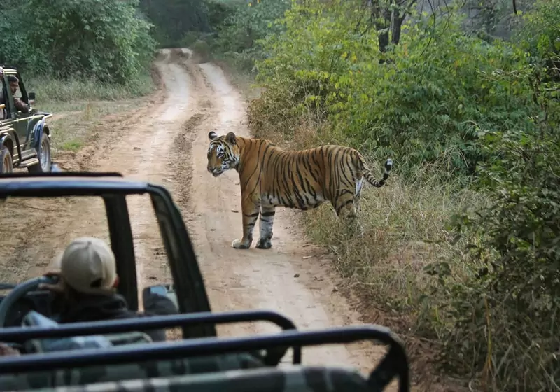 Golden Triangle with Ranthambore