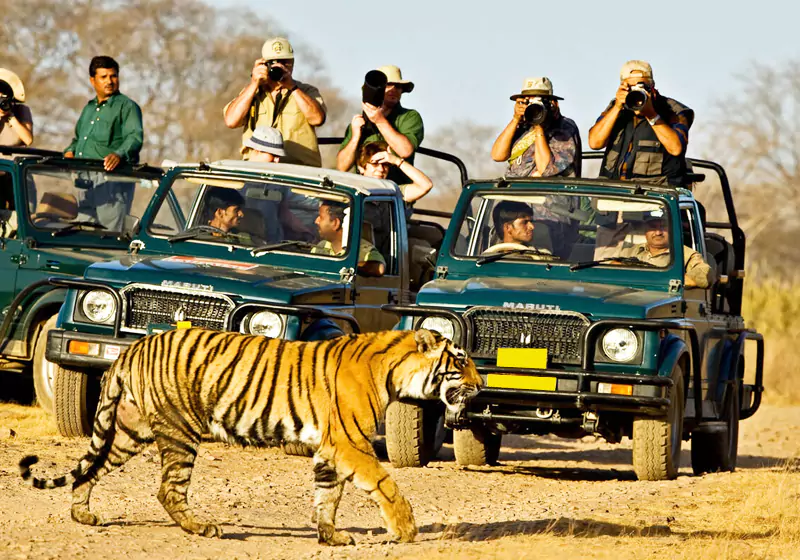 Jaipur Ranthambore Same Day Tour